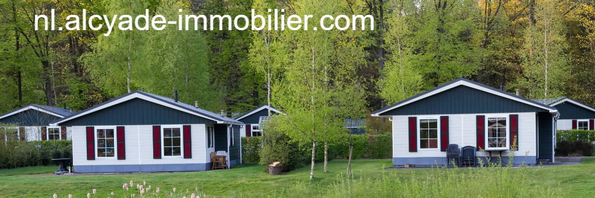 nl.alcyade-immobilier.com